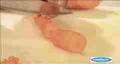 How To Make Carrots